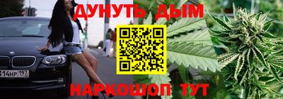 Альфа ПВП Кингисепп