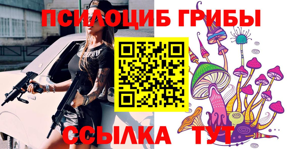 Комсомольск-на-Амуре  Галлюциногенные грибы Psilocybe  Вход с VPN 