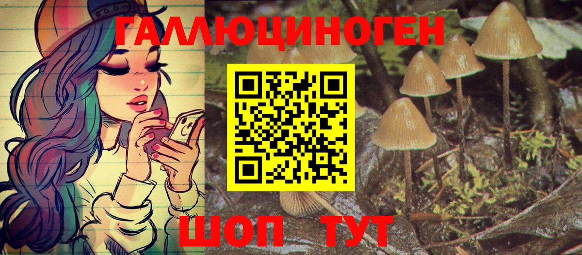 Галлюциногенные грибы Psilocybine cubensis Комсомольск-на-Амуре